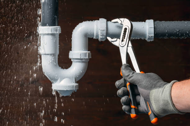 Professional Plumbing technician working in California, PA